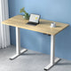 Artiss Standing Desk Motorised Sit Stand Desks White Oak 120CM - Mekamart Australia