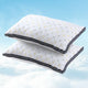 Giselle 2pcs Pillows Microfibre - Mekamart Australia