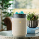 Iron and Clay Illumination Warmer - Mekamart Australia