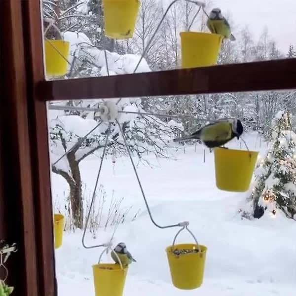 Bird Feeder Carousel Toy With Water Bottle and Food Dish