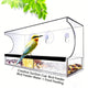 Automatic Transparent Bird Feeder (Acrylic) Size: 300*100*130mm Color: Transparent for Birds Balcony Mount (1pc)