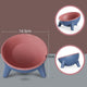 Cat and Dog Non-Breakable Bowl With Stand, Durable, Heat Resistant - Rose red