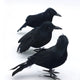 3PCS Fake Black Crow Halloween Decorations, Artificial Ravens Halloween Decor, Simulation Crow Decor for The Home Crafts
