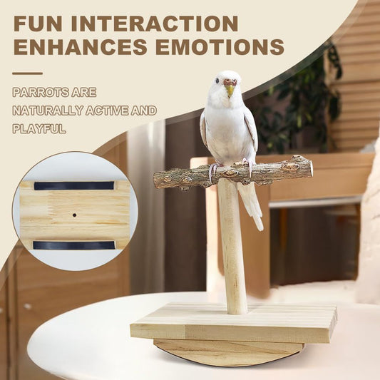 Bird Perch Training Parakeet Toys Interactive Cockatiel Perches, Wooden Bird Swing Playground Stand Parrot Enrichment Toy for Parakeet, Cockatiel,