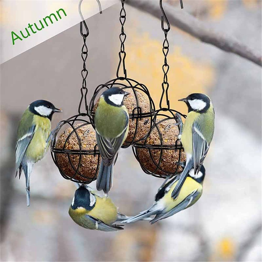 8Pcs Metal Hummingbird Feeders for Outdoors Hanging - Round Suet Ball Squirrel Proof Bird Feeders, Bird Watching Gifts for Wild Birds Outdoor Garden Window (Black)