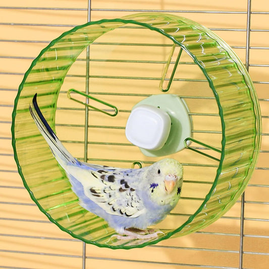 17cm Parrot Silent Running Wheel, Parrot Exercise Wheel, Birds, Parrots, Turtles, Hamsters, Small Animal Quiet Running Wheel (Green)