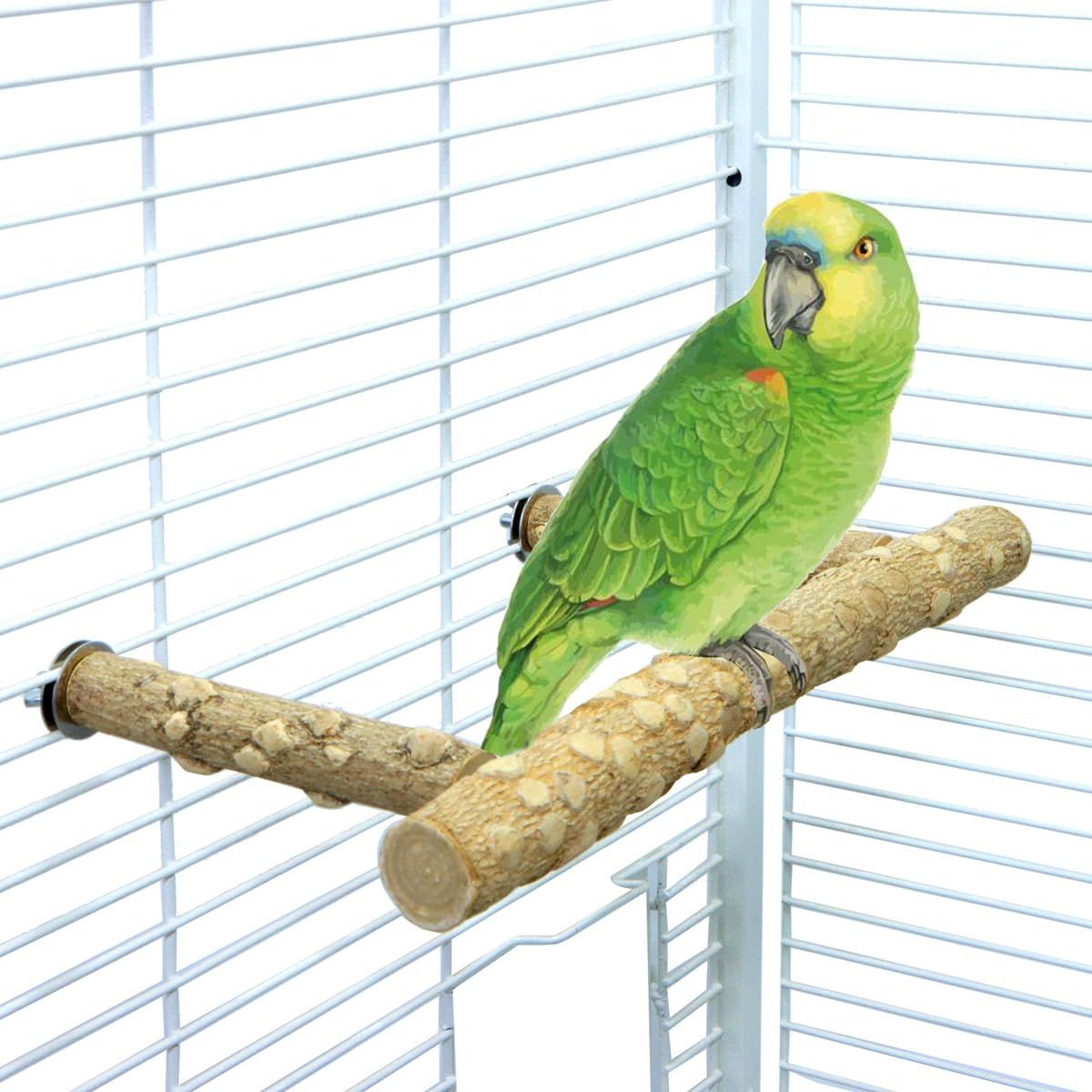 Pepper Wood Parrot Stand Branch, Wooden Perch for Parakeet Cockatiels Conures Lovebirds Budgies, Birdcage Accessories(small size)