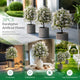 Cream White Artificial Flower Stems 3Pcs Portrait Shoot Backyard Ornament