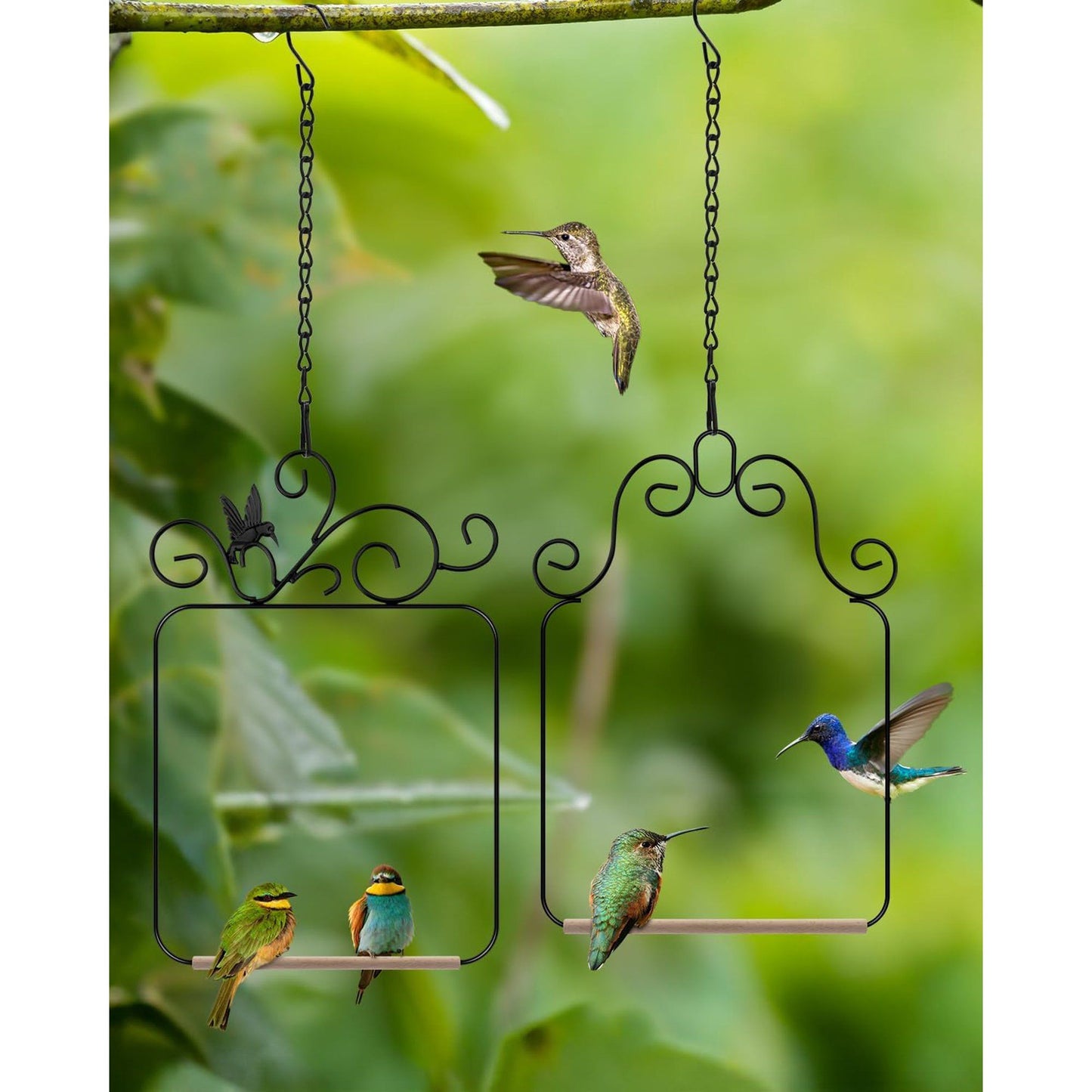 2 Pack Black Hummingbird Swings and Perches, Metal Frame Wild Bird Swing With Wooden Dowel and Hanging Chains for Indoor Outdoor