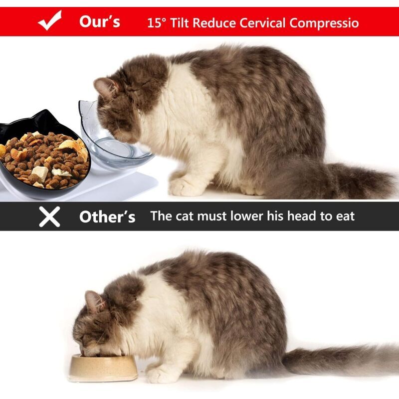 Double Cat Bowl, Cat Bowl, 15 Tilt Double Raised Cat Bowl, Double Bowl Pet Feeder with Raised Stand for Cats and Small Dogs