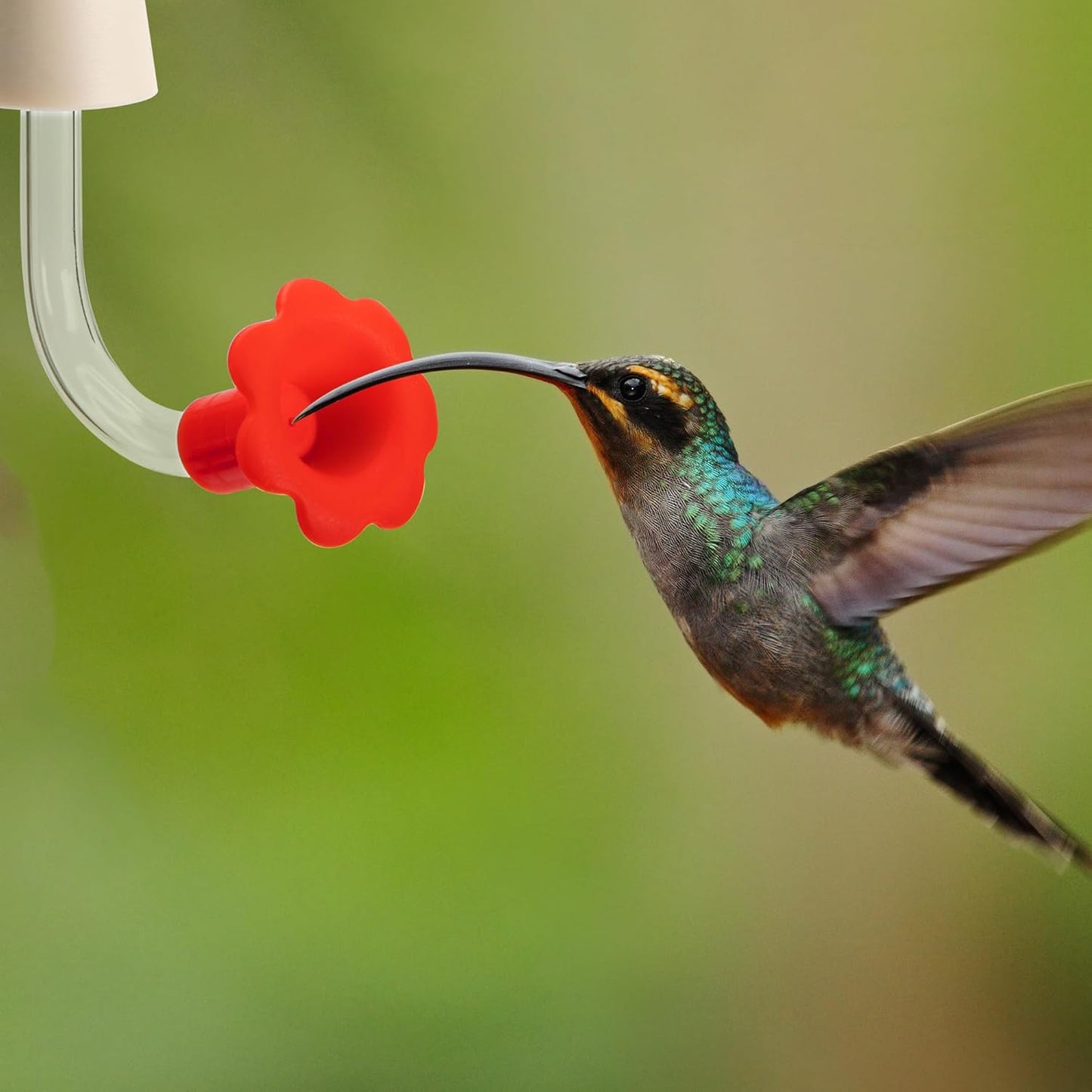 9 Pcs Hummingbird Feeder Tubes with Red Floral Tip, Bird Hummingbird Feeder Replacement Parts with 3 Brush, Outside Flower Bird Water Feeder Tubes Stoppers for Making Your Own Bird Feeders