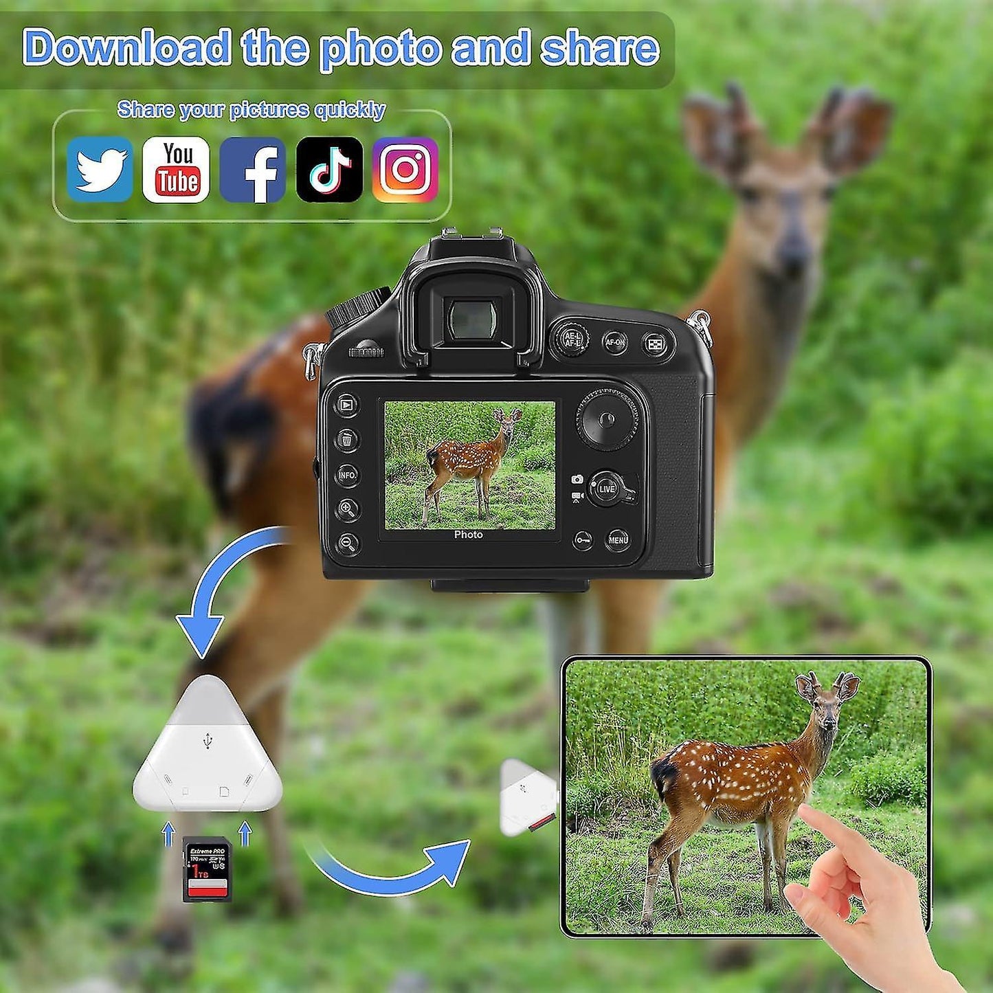 SD Card Reader for iPhone, USB Type-C Triangle TF Memory Adapter