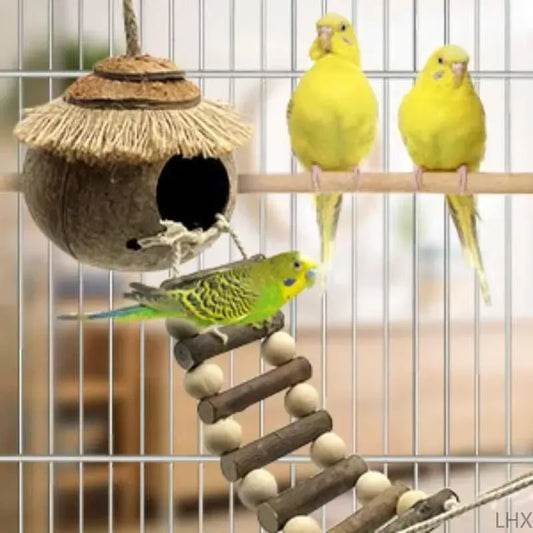Hanging Coconut Shell Bird Nest With Ladder Cage Landscape Warm Bird House