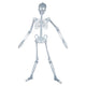 Glowing in the Dark Halloween Skeleton Decor Luminous Lifelike Skeleton Model for Front Lawn Haunted House Bar Props Halloween Party Decorations