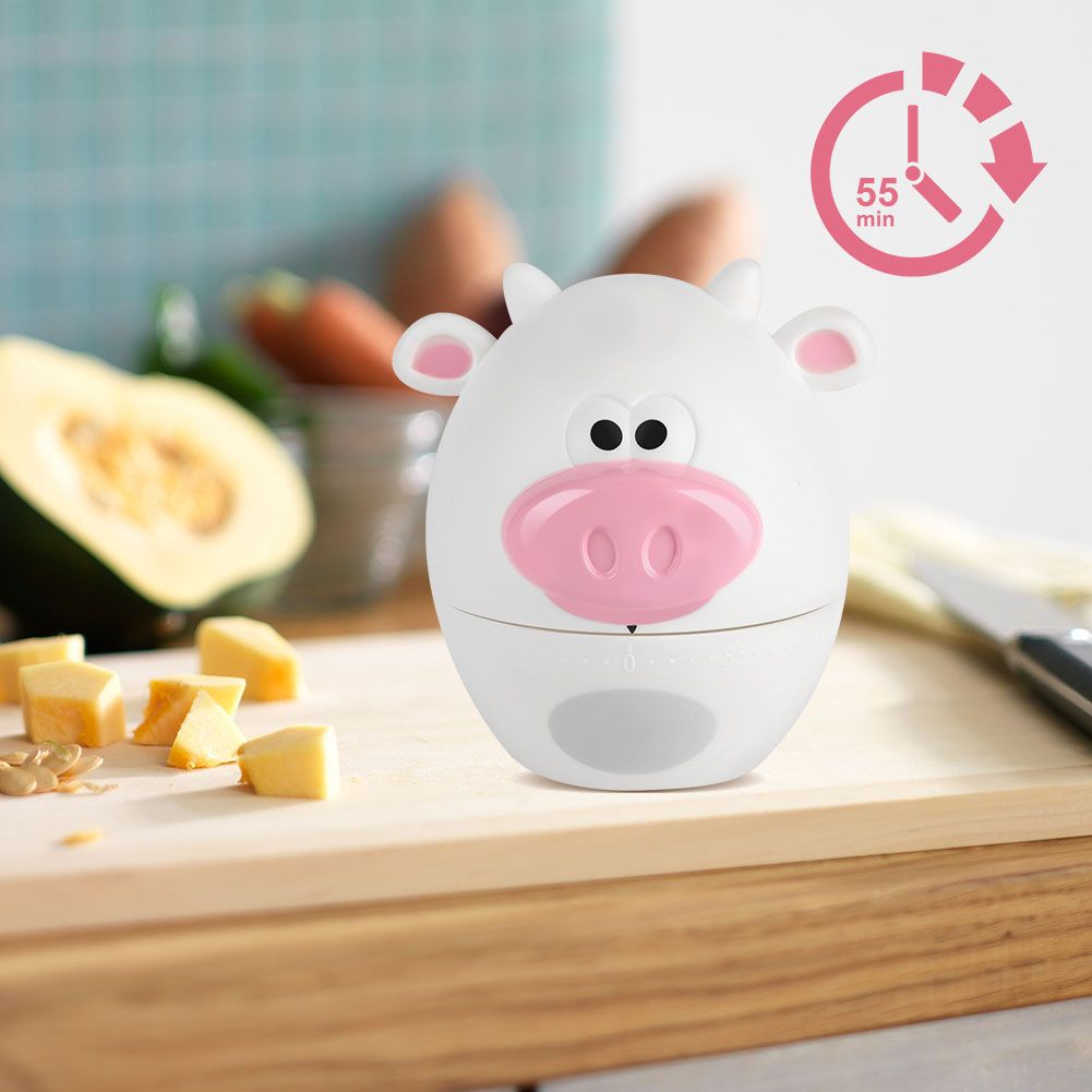 Cute Cartoon Kitchen Timer Mechanical 55 Minutes Cooking Supplies