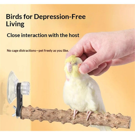 2Pcs Bird Perch With Suction Cup, Wooden Parrot Stand, Shower and Window Perch, Grinding Stick Training Toys, Wall Bath Car Travel Stand for Small and Medium Birds
