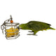 Bird Stainless Steel Foraging Feeder Parrot Hanging Feeding Box for Macaw Grey Cockatoo Cockatiel Cage Stainless Steel Baffle Cage