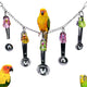 Bird stainless steel toy, safe and stable spoon chewing toy parrot, long tailed parrot, parrot, parrot colored pendant toy,