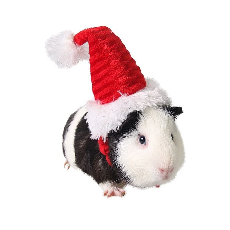 Hamster Hats Guinea Pig Costume Mini Santa Hat for Kitten Chinchilla Rabbit Bunny Hedgehog Squirrel Rats Duck Newborn Puppy
