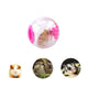 Hamster Ball,Hamster Exercise Ball Plastic Exercise Running Ball Toy Sport Ball for Gerbils Chinchillas 12cm Diameter