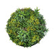 YES4HOMES Artificial Green Wall Plant Panel Disc Garden Flower Art 100cm Grassy UV Resistant-Fireworks Black Frame - Mekamart Australia