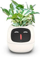 Intelligent Flower Pot, Electronic Bud, Maintenance Plant Assistant, Fun Interactive Flower Pot, Indoor Green Planting Monitoring, LCD Screen Display, Cell Phone APP Connection (White) - Mekamart Australia
