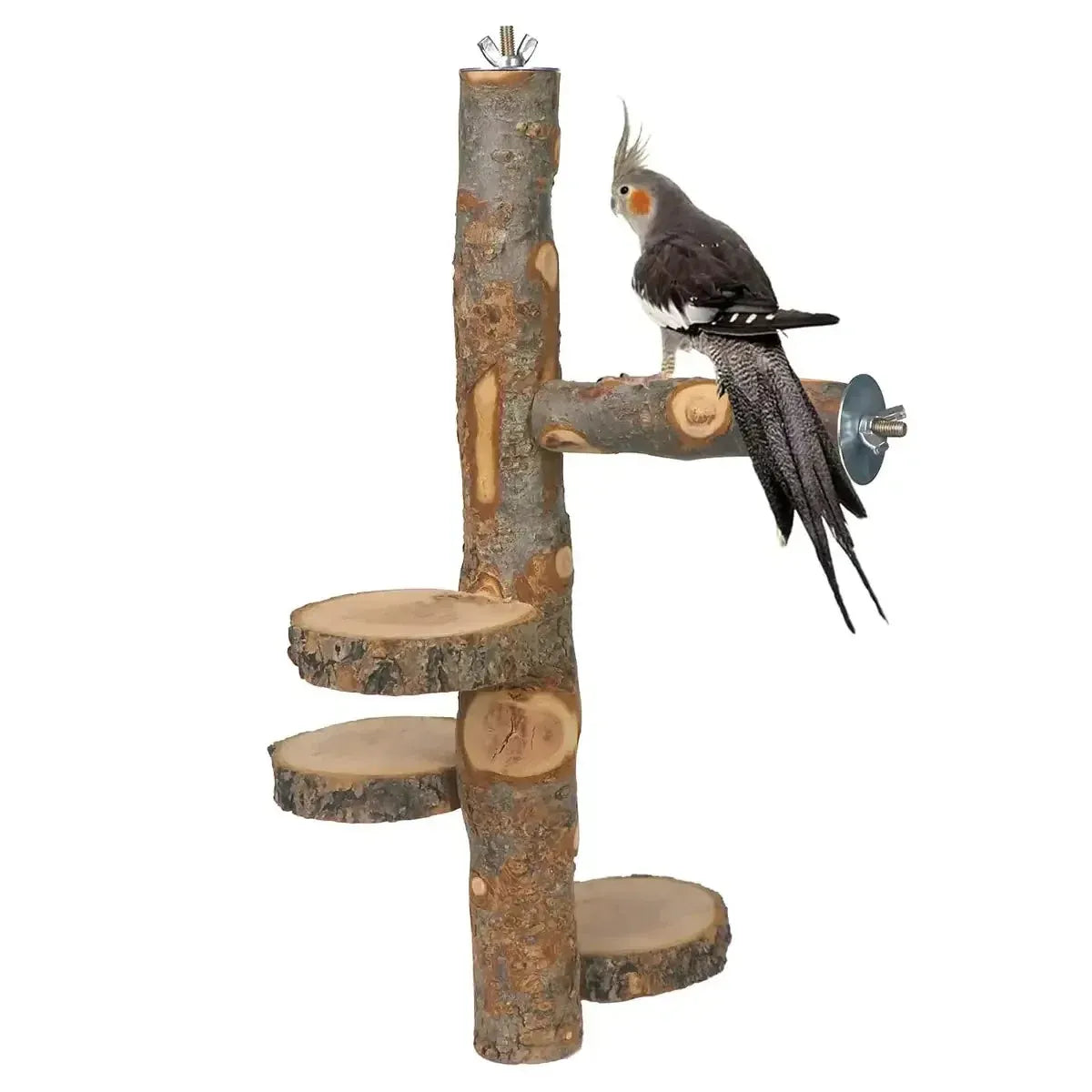 Parrot Stand Squirrel Training Swing Pet Stand Toy Small Pet Exercise Play
