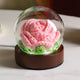 Pink Rose Handcrafted Crochet Flower LED Night Light - USB Rechargeable Glass Dome Lamp with Wood Base, 3 Color Modes - Mekamart Australia
