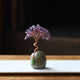 Purple Crystal Natural Crystal Wealth Tree - 12cm Feng Shui Decor, Elegant Office Desk Ornament - Mekamart Australia