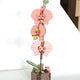 DIY 3D Wooden Butterfly Orchid Puzzle - 60-Piece Kids' Craft Toy - Mekamart Australia