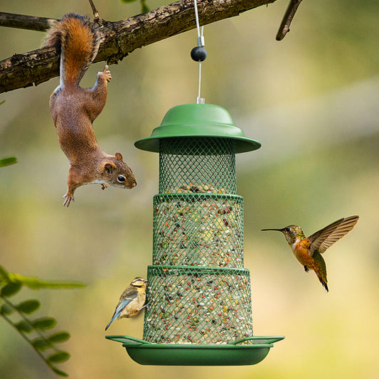 Circular Retractable Metal Hanging Bird Feeder 3-Tier Mesh Design Weatherproof Outdoor Wild Bird Feeding Station for Local Garden and Backyard Support