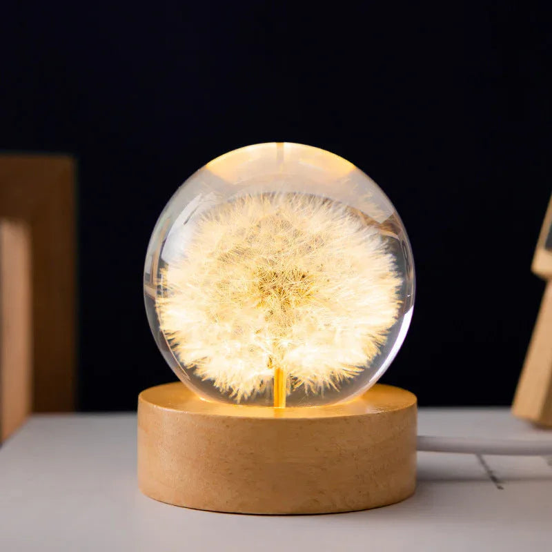 Lighting Accessories - Mekamart Australia