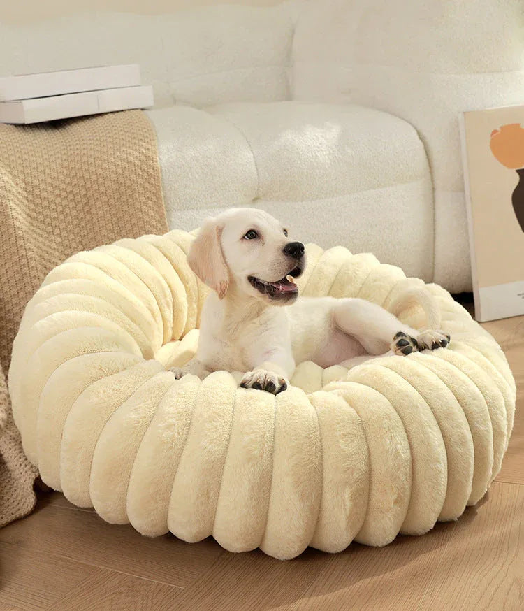 Dog Supplies - Mekamart Australia