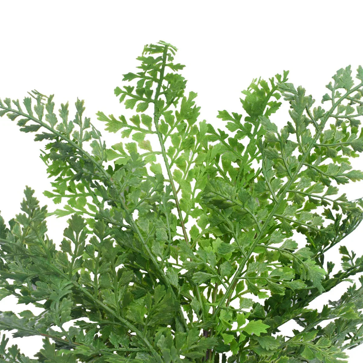 Faux Maden Hair Fern Stem 40cm - Mekamart Australia