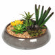 Potted Artificial Succulents with Round Decorative Bowl 19cm - Mekamart Australia
