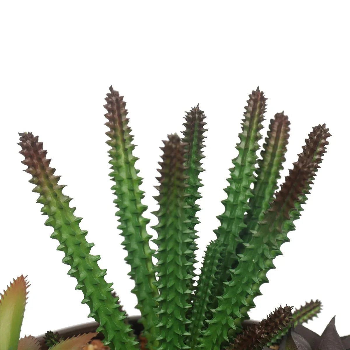 Potted Artificial Succulents with Round Decorative Bowl 19cm - Mekamart Australia