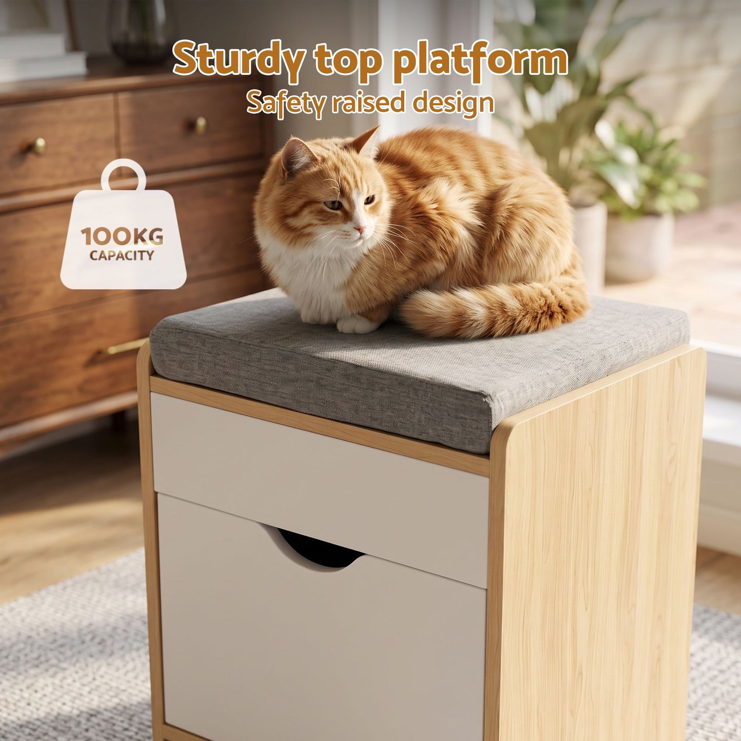 Artiss Storage Ottoman with Drawer 100kg Capacity Footrest Cushion Pine