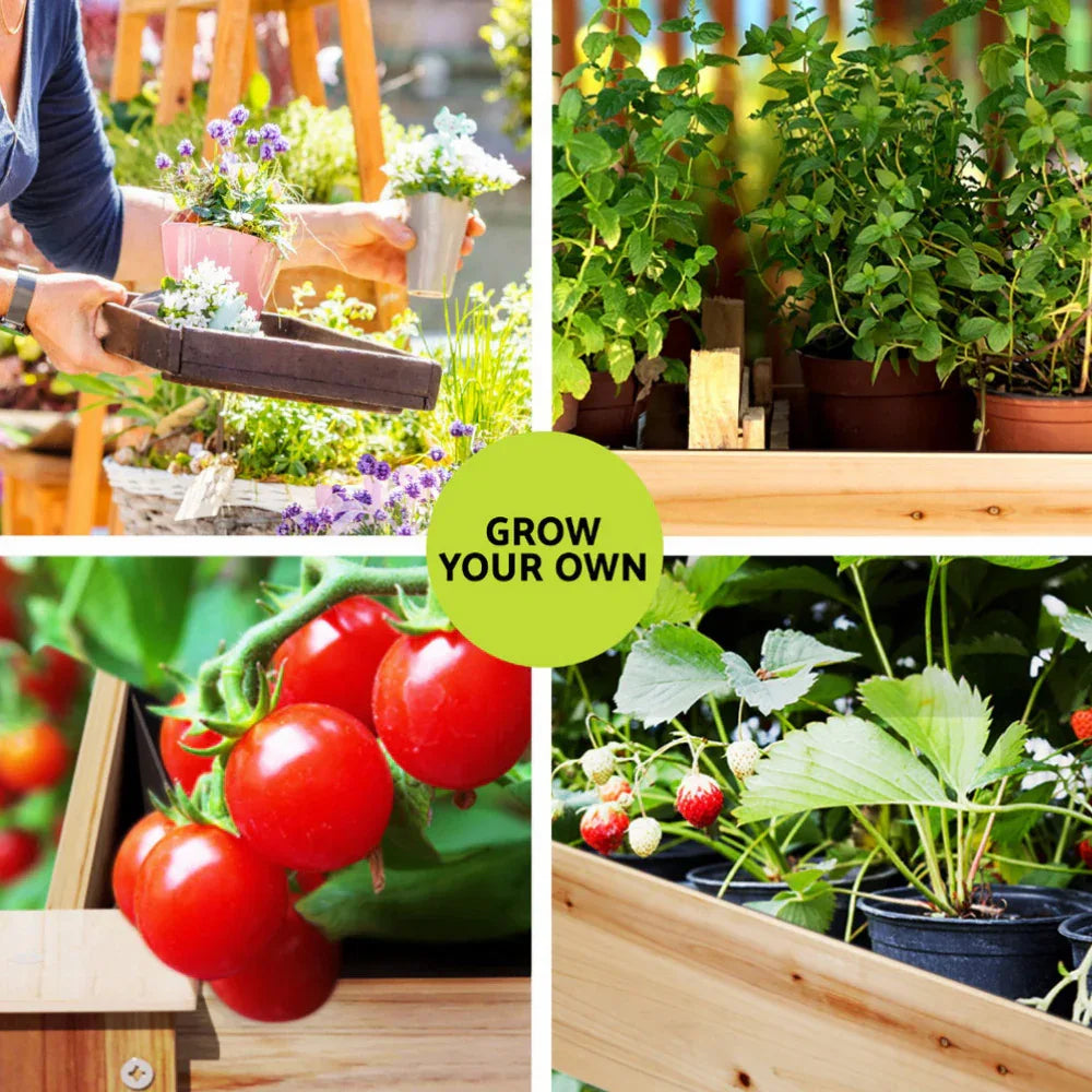 Green Fingers Raised Garden Bed 2x Elevated 120x60x80cm Wooden Planter Box Container - Mekamart Australia
