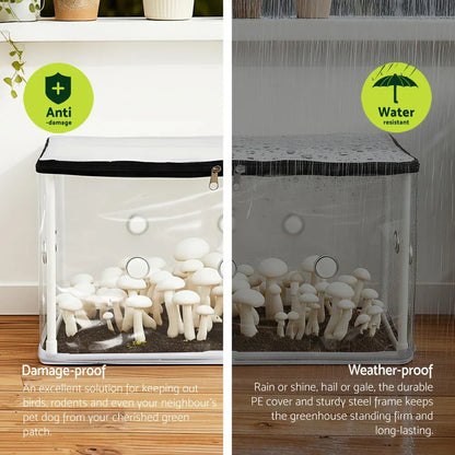 Green Fingers Mini Greenhouse 50x25x25cm PVC Cover for Mushrooms Succulents - Mekamart Australia