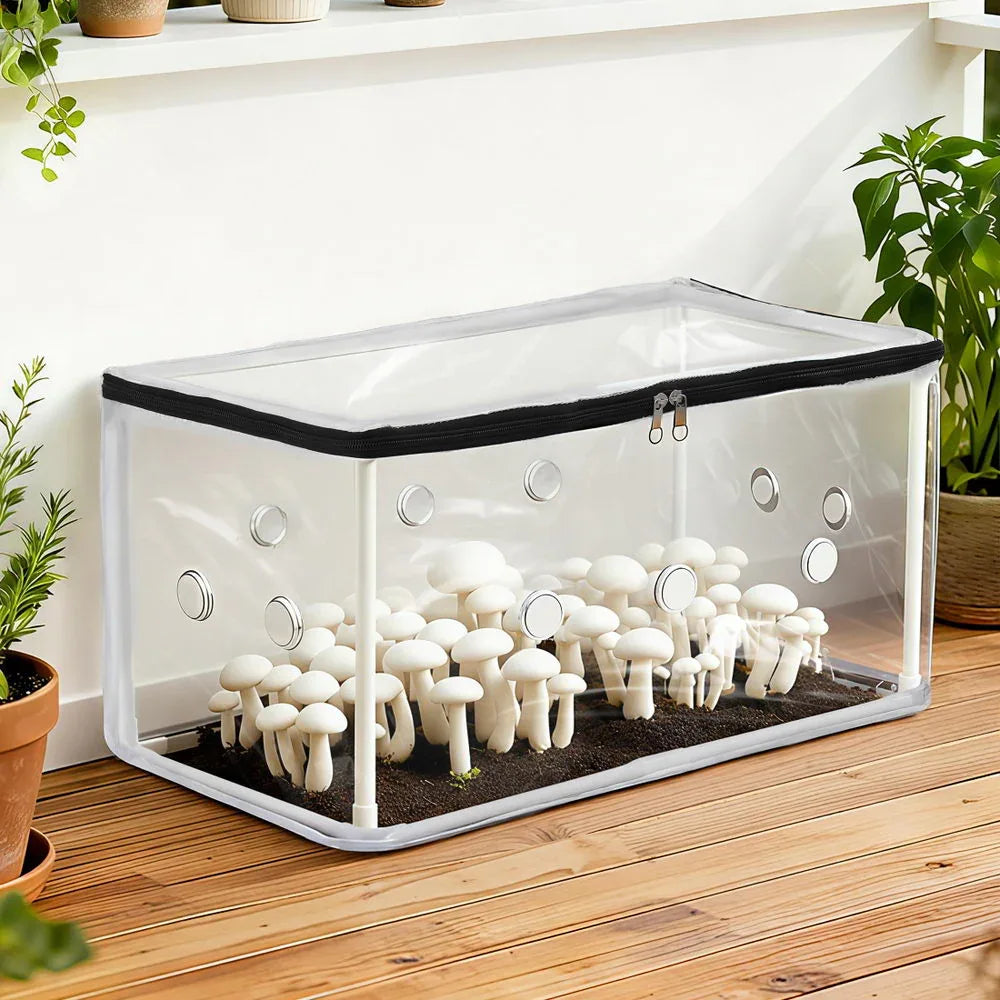 Green Fingers Mini Greenhouse 50x25x25cm PVC Cover for Mushrooms Succulents - Mekamart Australia