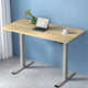 Artiss Standing Desk Motorised 120CM White Oak - Mekamart Australia
