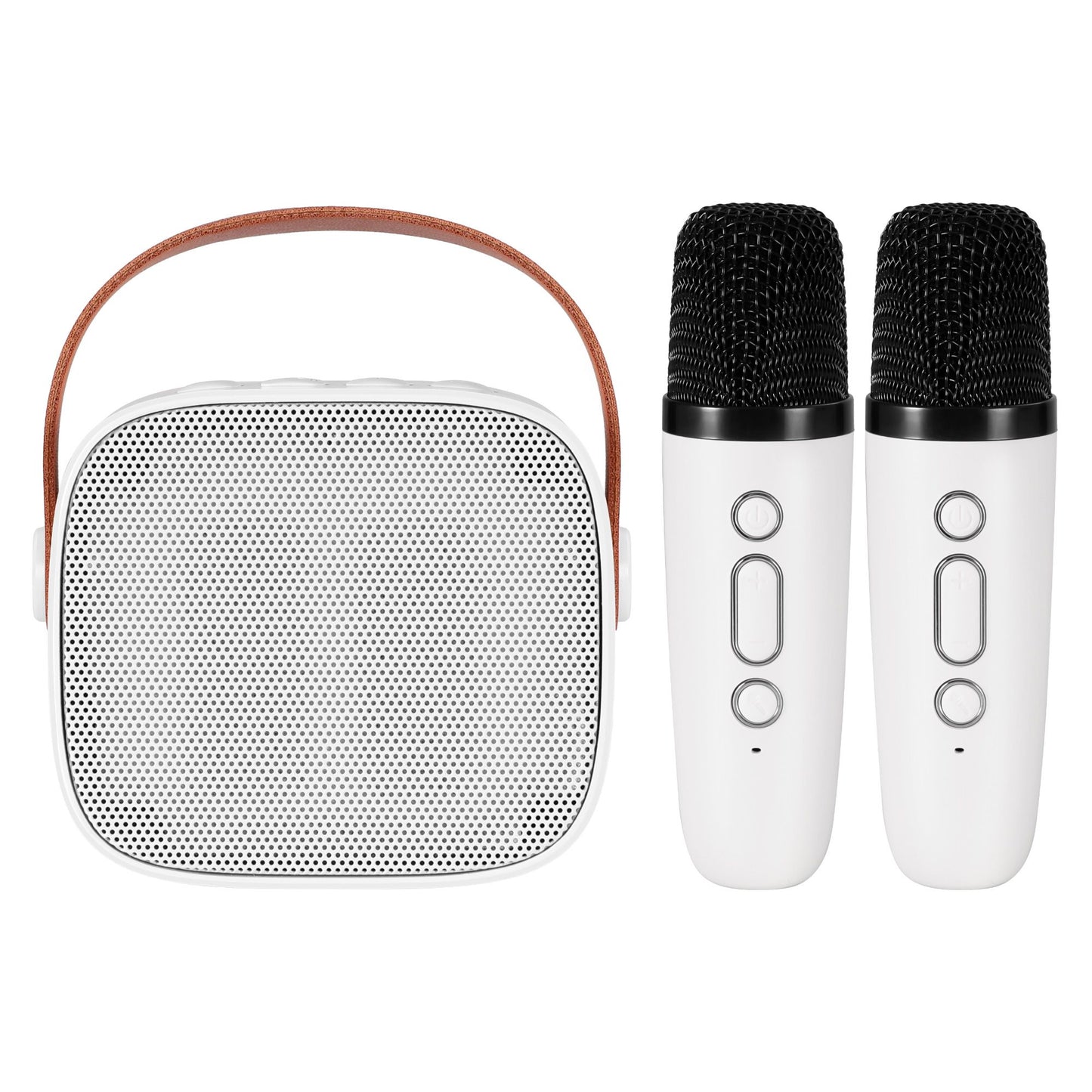Alpha Mini Portable Karaoke Machine for Adults Kids with 2 Wireless Microphones