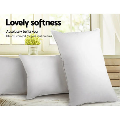 Giselle Bedding Goose Feather Down Pillow Twin Pack - Mekamart Australia