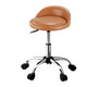Artiss Salon Stool Swivel Chair Backrest Chairs - Mekamart Australia