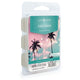 Coco Oasis Classic Wax Melts 2.5oz - Mekamart Australia