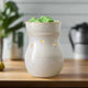Frosted Farmhouse Illumination Warmer - Mekamart Australia