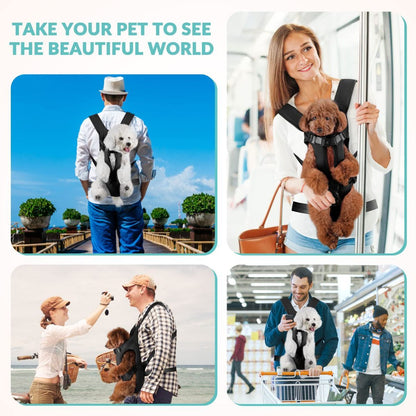 Dog Harness Storage Bags For Dogs Pet Accessories Dog Outdoor Gear High-Quality - Black - Size L