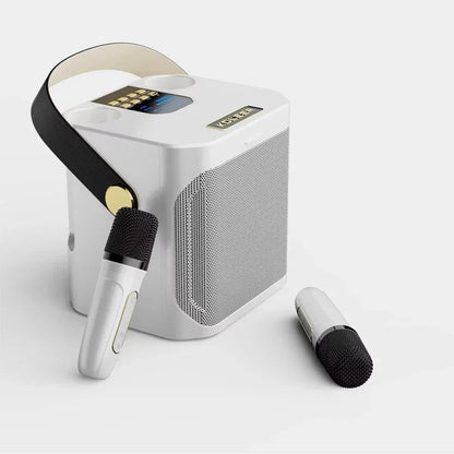 High Power Karaoke Bluetooth Speaker With Dual Microphone