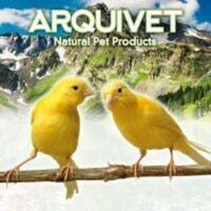 Replacement Bird Cage Feeder - Bird Cage Accessories - Bird Accessories - Bird Feeders - Bird Food