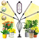 Plant Grow Light, 2020 New 80 LEDs 4 Heads Grow Lamp, Auto Timing - On/Off LED Grow Light For Seedlings, Succulents,